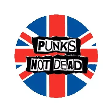 PUNKS NOT DEAD - Flag (jelvény, 2,5 cm)