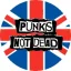 PUNKS NOT DEAD - Flag (jelvény, 2,5 cm)
