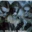 IMMORTAL: Blizzard Beasts (CD)