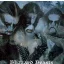 IMMORTAL: Blizzard Beasts (CD)