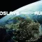 AUDIOSLAVE: Revelations (CD)