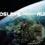 AUDIOSLAVE: Revelations (CD)