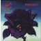 THIN LIZZY: Black Rose (CD)