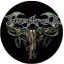 FINNTROLL: Logo (jelvény, 2,5 cm)