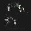 IMMORTAL: Pure Holocaust (CD)