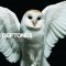 DEFTONES: Diamond Eyes (CD)