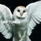 DEFTONES: Diamond Eyes (CD)