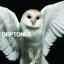 DEFTONES: Diamond Eyes (CD)