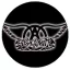 AEROSMITH: Logo (jelvény, 2,5 cm)
