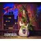 SAVATAGE: Street (2CD, narrated version)