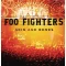 FOO FIGHTERS: Skin and Bones (2LP)