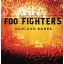 FOO FIGHTERS: Skin and Bones (2LP)