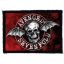 AVENGED SEVENFOLD: Circle Logo (9,5 cm x 7 cm) (felvarró)