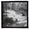 BURZUM: Hvis Lyset Tar Oss (9,5 cm x 9,5 cm) (felvarró)