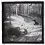 BURZUM: Hvis Lyset Tar Oss (9,5 cm x 9,5 cm) (felvarró)