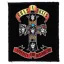 GUNS N' ROSES: Appetite For Destruction (8 cm x 9,5 cm) (felvarró)