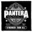 PANTERA: Stronger (9,5 cm x 9,5 cm) (felvarró)