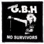 GBH: No Survivors (9,5 cm x 9,5 cm) (felvarró)