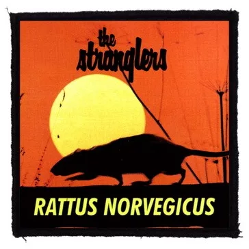 STRANGLERS: Rattus Norvegicus (9,5 cm x 9,5 cm) (felvarró)