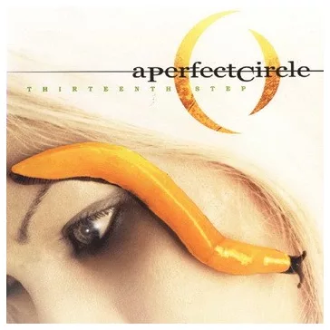 A PERFECT CIRCLE: Thirteenth Step (2LP)