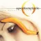 A PERFECT CIRCLE: Thirteenth Step (2LP)