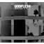 GODFLESH: Decline & Fall (CD)