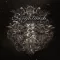 NIGHTWISH: Endless Forms Most Beautiful (CD)