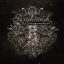NIGHTWISH: Endless Forms Most Beautiful (CD)