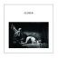 JOY DIVISION: Closer (LP)