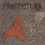 PROSECTURA: Szegény ember kézzel nőz (CD)