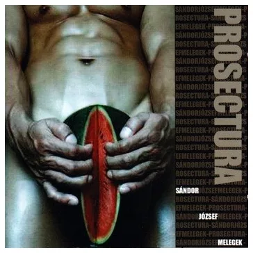 PROSECTURA: Sándor, József, melegek (CD)