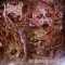 MASTER: An Epiphany Of Hate (digipack) (CD)