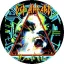 DEF LEPPARD: Hysteria (jelvény, 2,5 cm)
