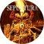SEPULTURA: Arise (jelvény, 2,5 cm)