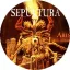 SEPULTURA: Arise (jelvény, 2,5 cm)