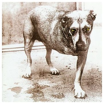 ALICE IN CHAINS: Alice In Chains (CD)