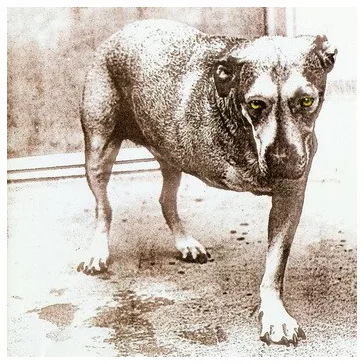 ALICE IN CHAINS: Alice In Chains (CD)