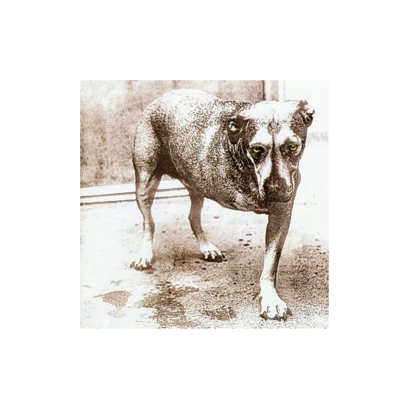 ALICE IN CHAINS: Alice In Chains (CD) ALICE IN CHAINS: Alice In Chains (CD)