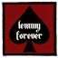 LEMMY: Forever (9,5 cm x 9,5 cm) (felvarró)