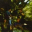 CREEDENCE CLEARWATER REVIVAL: Bayou Country (LP, 180 gr)