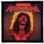 AIRBOURNE: Breakin' Outta Hell (9,5 cm x 9,5 cm) (felvarró)