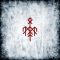 WARDRUNA: Runaljod - Gap Var Ginnunga (CD)