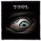 TOOL: Eye (9,5 cm x 9,5 cm) (felvarró)