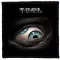 TOOL: Eye (9,5 cm x 9,5 cm) (felvarró)