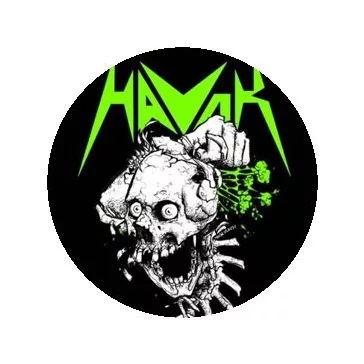 HAVOK: Skull (jelvény, 2,5 cm)