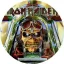 IRON MAIDEN: Aces High (nagy jelvény, 3,7 cm)