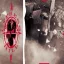 CYPRESS HILL: Cypress Hill (LP)