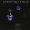 SISTERS OF MERCY: Floodland (LP, 140 gr)