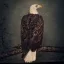CLUTCH: Book Of Bad Descisions (2LP, color, ltd.)