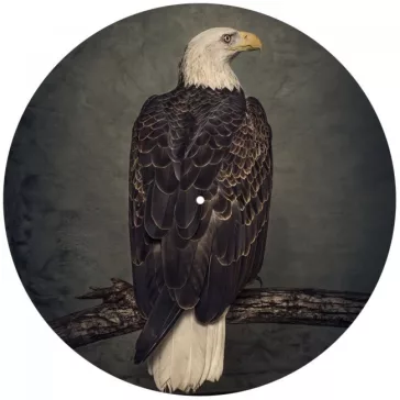 CLUTCH: Book Of Bad Descisions (2LP, picture disc, ltd.)